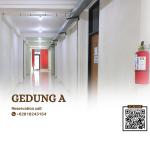 Standar 4 Single Bed - Gedung A