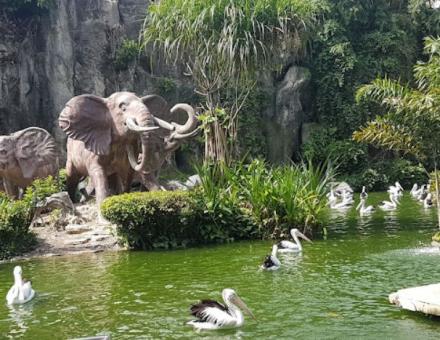 Taman Margasatwa Ragunan